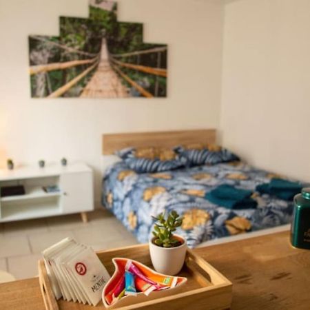 Studio Cosy Tv Wifi Confortable Et Chaleureux Gaillon 외부 사진