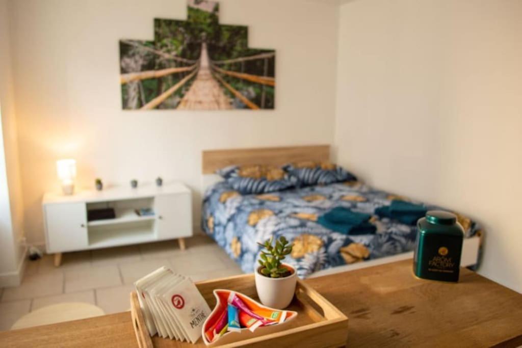 Studio Cosy Tv Wifi Confortable Et Chaleureux Gaillon 외부 사진